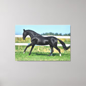 Black Akhal Teke Stallion Galloping Paddock Zaun Leinwanddruck (Vorderseite)