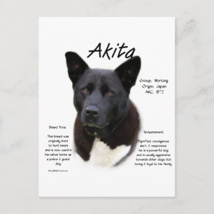 Black Akita History Design Postkarte
