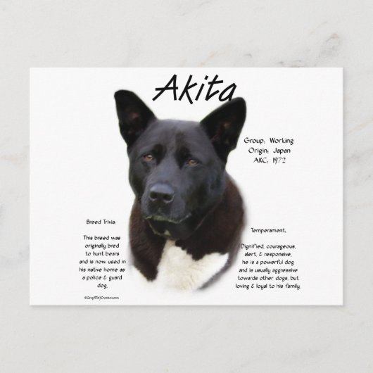 Black Akita History Design Postkarte (Vorderseite)
