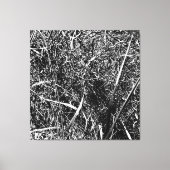 Black Alien Grass Leinwanddruck (Vorderseite)