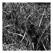 Black Alien Grass Poster (Vorderseite)