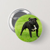 Black Amstaff Button (Vorne & Hinten)