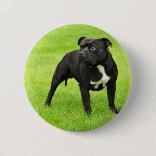 Black Amstaff Button