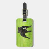 Black Amstaff Gepäckanhänger (Vorderseite vertikal)