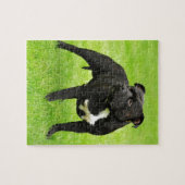 Black Amstaff Puzzle (Horizontal)