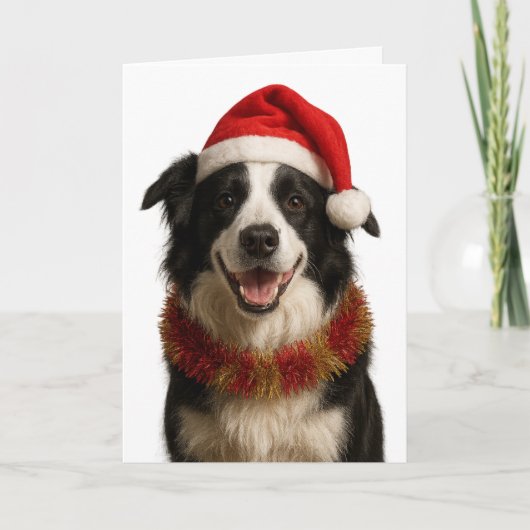 Black and and white Border Collie Christmas card Karte (Vorderseite)