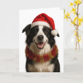 Black and and white Border Collie Christmas card Karte (Gelbe Blume)