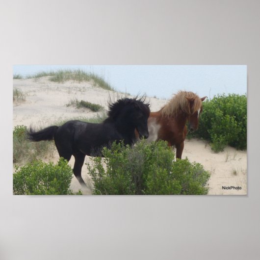 Black and Brown Wild Corolla Horses Poster (Vorne)