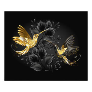 Black and Gold Hummingbird Fotodruck