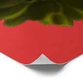 Black and Red Marigold Poster (Ecke)