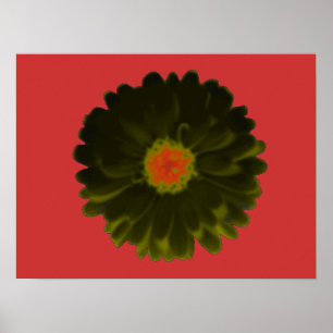 Black and Red Marigold Poster