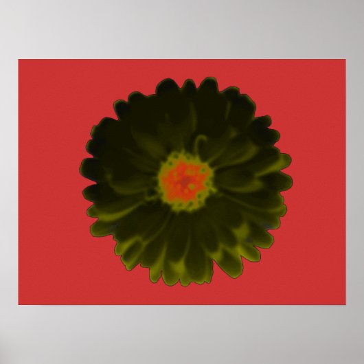 Black and Red Marigold Poster (Vorne)