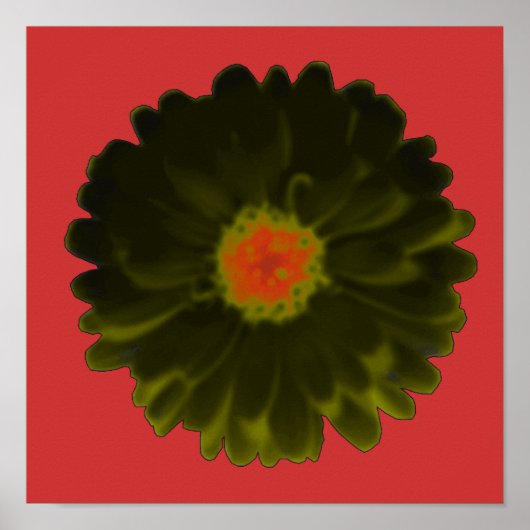Black and Red Marigold Poster (Vorne)