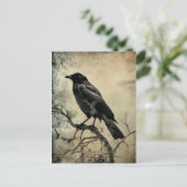 Black and Sepia Gothic Crow Postkarte (Stehend Vorderseite)