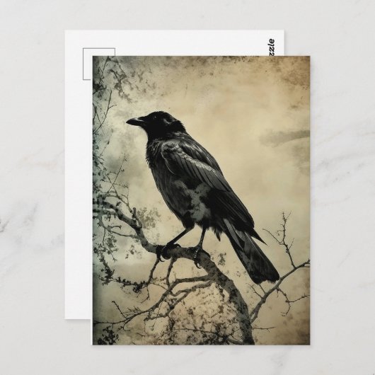 Black and Sepia Gothic Crow Postkarte (Vorne/Hinten)