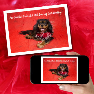 Black and Tan Cavalier King Charles Boa Birthday Karte