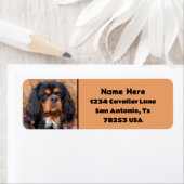 Black and Tan Cavalier King Charles Rücksendeadres (Insitu)