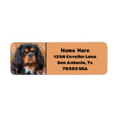 Black and Tan Cavalier King Charles Rücksendeadres (Vorne)