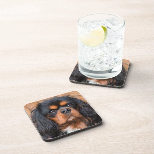 Black and Tan Cavalier King Charles Spaniel Dog Getränkeuntersetzer (Rechte Seite)