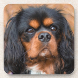 Black and Tan Cavalier King Charles Spaniel Dog Getränkeuntersetzer