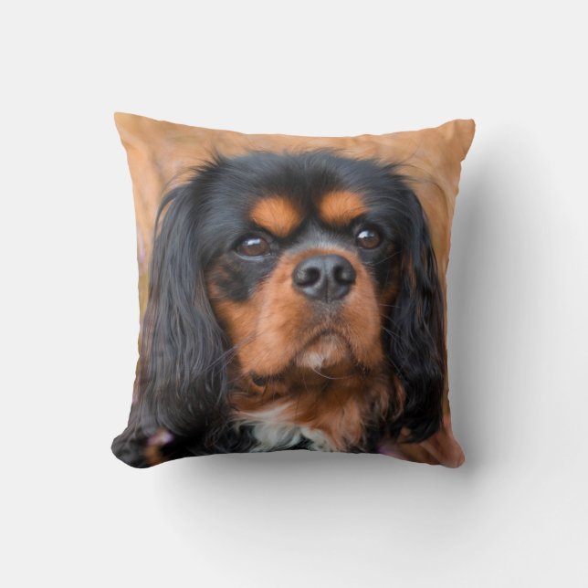 Black and Tan Cavalier King Charles Spaniel Dog Kissen (Vorderseite)