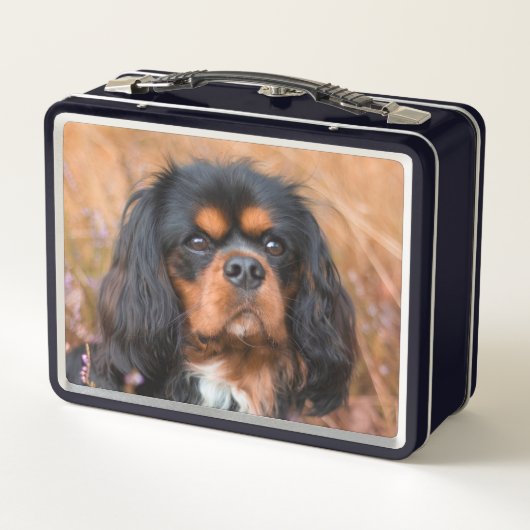 Black and Tan Cavalier King Charles Spaniel Dog Metall Brotdose (Rückseite)
