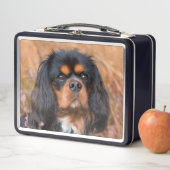 Black and Tan Cavalier King Charles Spaniel Dog Metall Brotdose (Beispiel)