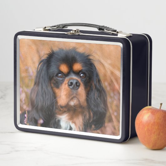 Black and Tan Cavalier King Charles Spaniel Dog Metall Brotdose (Beispiel)