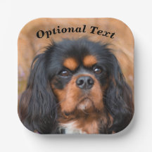 Black and Tan Cavalier King Charles Spaniel Dog