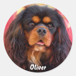 Black and Tan Cavalier King Charles Spaniel Dog Runder Aufkleber