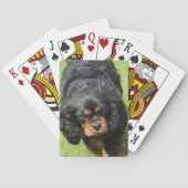 Black and Tan Cavalier King Charles Spaniel Dog Spielkarten (Rückseite)