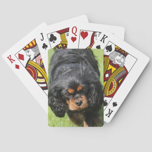 Black and Tan Cavalier King Charles Spaniel Dog Spielkarten (Rückseite)