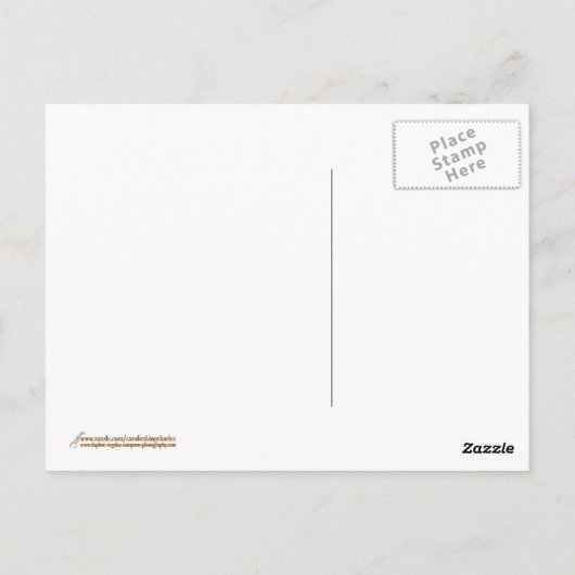 Black and Tan Cavalier King Charles Spaniel Postkarte (Rückseite)