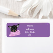 Black and Tan Chihuahua Puppy (Insitu)