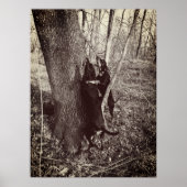 Black and Tan Coon Hounds Poster (Vorne)