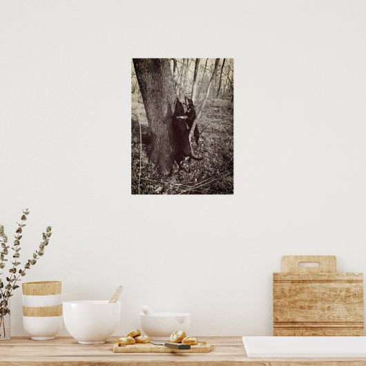 Black and Tan Coon Hounds Poster (Küche)