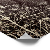 Black and Tan Coon Hounds Poster (Ecke)