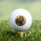 Black and Tan Coonhound Golfball (Insitu T-Shirt)