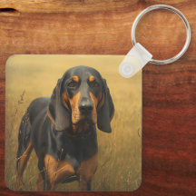 Black and Tan Coonhound