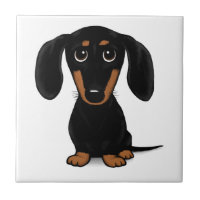 Black and Tan Dackel Niedlich Weiner Dog