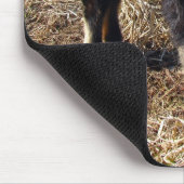 Black and Tan Kid Mousepad (Ecke)