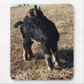 Black and Tan Kid Mousepad (Vorne)