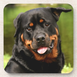 Black and Tan Rottweiler Puppy Dog Getränkeuntersetzer