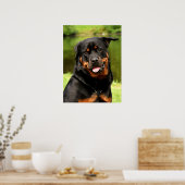 Black and Tan Rottweiler Puppy Dog Poster (Küche)