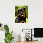 Black and Tan Rottweiler Puppy Dog Poster (Heimbüro)