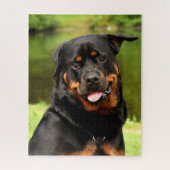 Black and Tan Rottweiler Puppy Dog Puzzle (Vertikal)