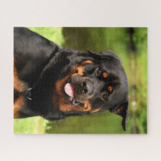 Black and Tan Rottweiler Puppy Dog Puzzle (Horizontal)