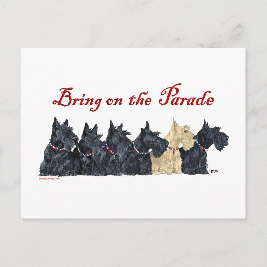 Black and Wheaten Scottish Terriers Postkarte (Vorderseite)