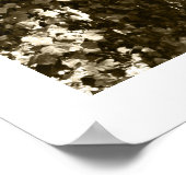 Black and White Big Tree Los Angeles Griffith Park Poster (Ecke)