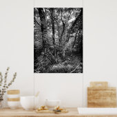 black and white birch forest poster (Küche)